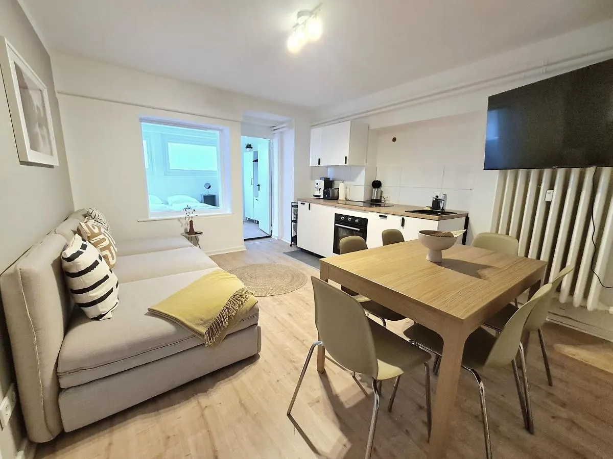 Hamburg City Apartment For 7